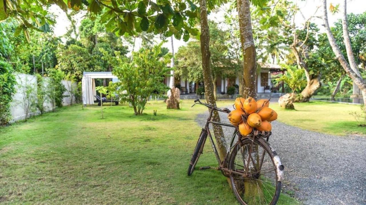 Antique Ceylon Villa Ahangama Eksteriør bilde