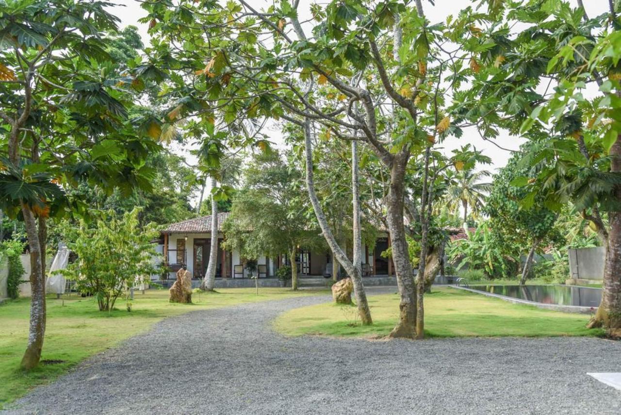 Antique Ceylon Villa Ahangama Eksteriør bilde